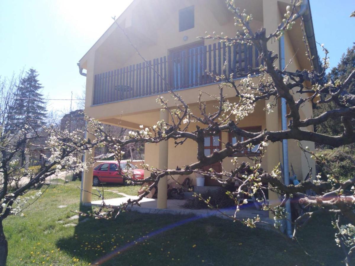 Dedinje Βίλα Jagodina Εξωτερικό φωτογραφία