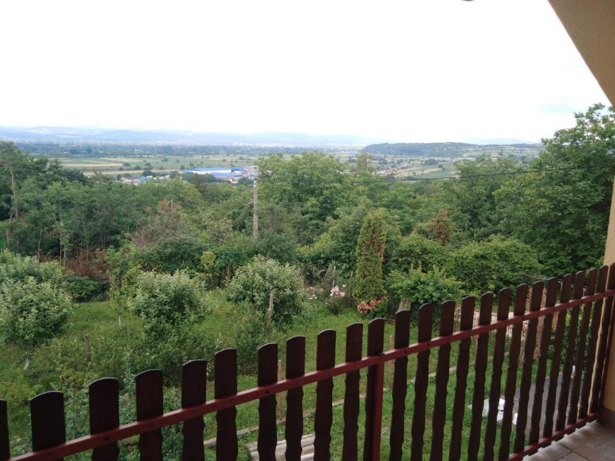 Dedinje Βίλα Jagodina Εξωτερικό φωτογραφία